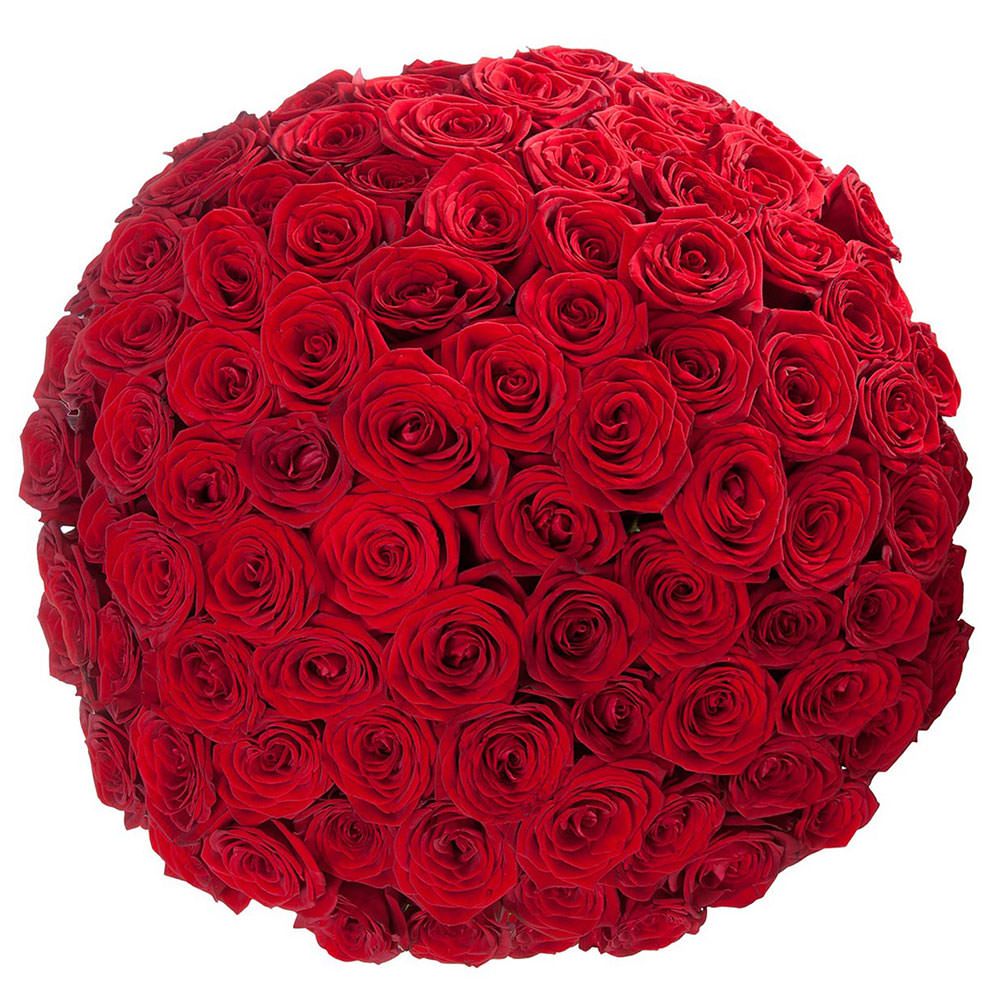 Акция! Розы Красные 101 шт. 60 см